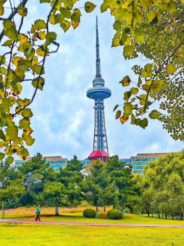 城市