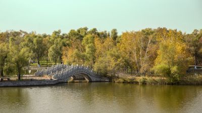 景色