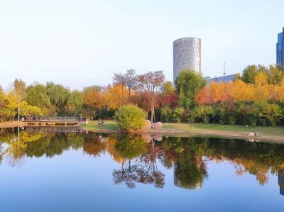 城市