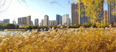 景色