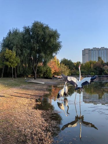 景色