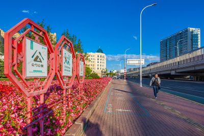 城市