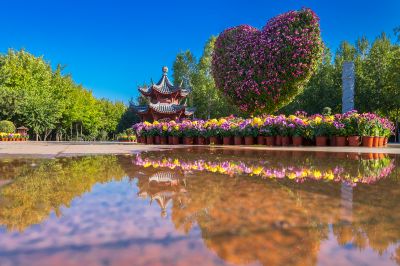 景色