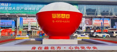 活动