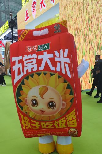 活动