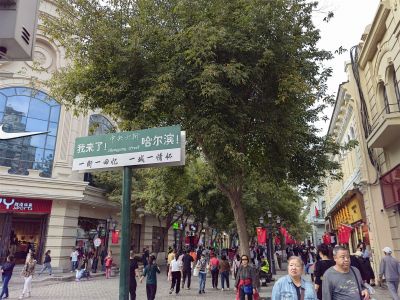 城市