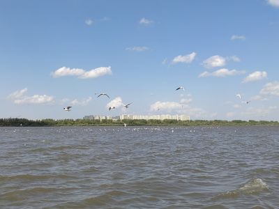 景色