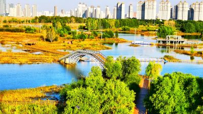 景色