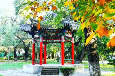 景色
