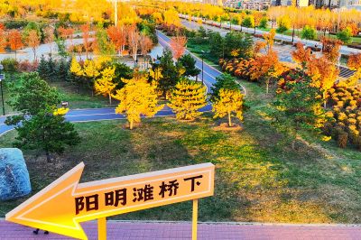 景色