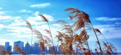 景色