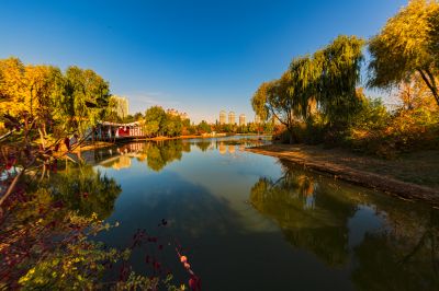 景色