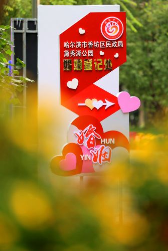 城市