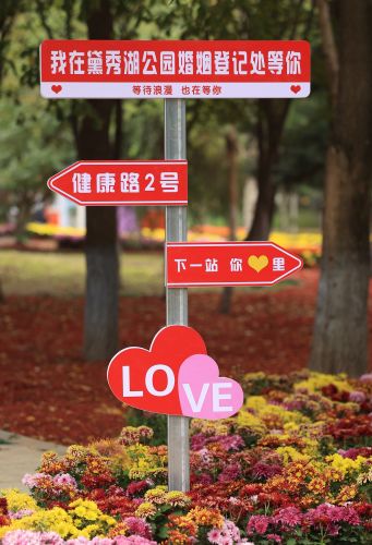 城市