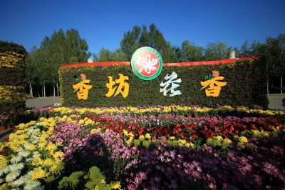 景色
