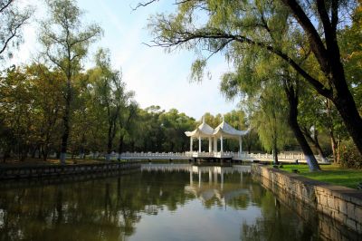 景色