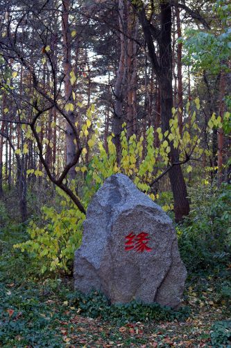 景色