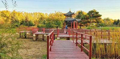 景色