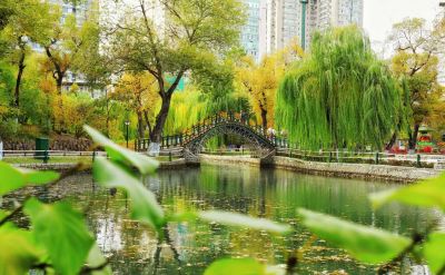 景色