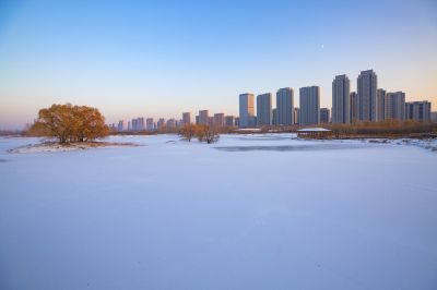 城市
