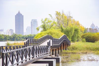 景色