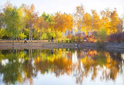 景色