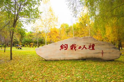 景色