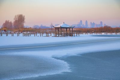 景色