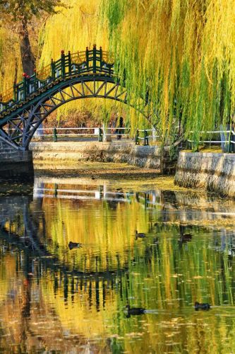 景色