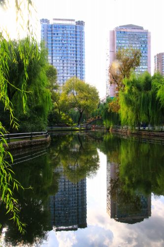 城市