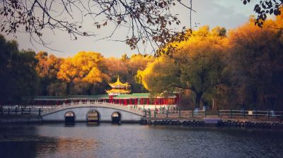 景色