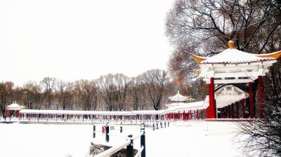 景色