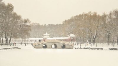 景色
