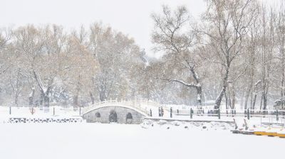 景色