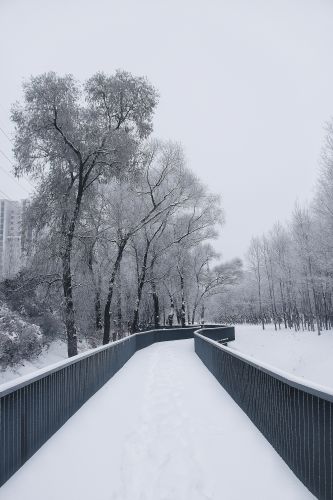 景色
