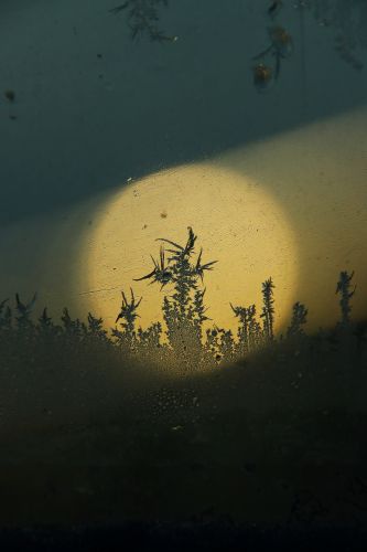 景色