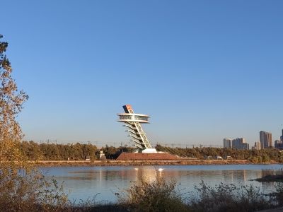 城市