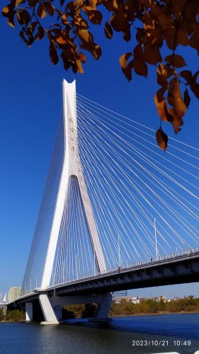 城市
