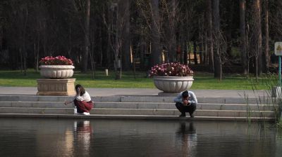 景色