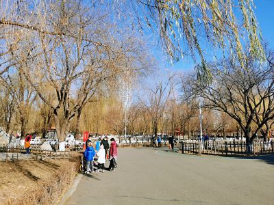 景色