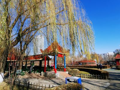景色