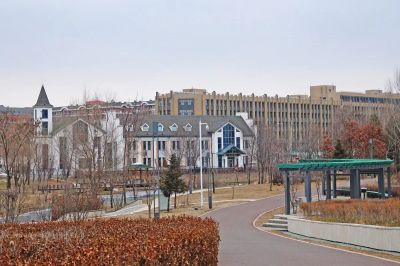 城市