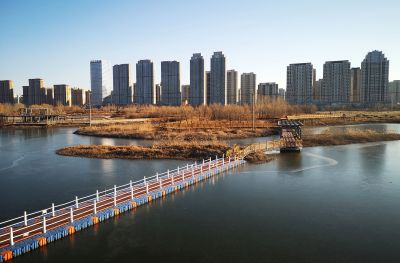 湿地