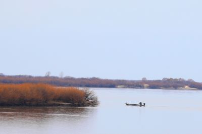湿地