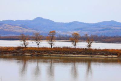 湿地