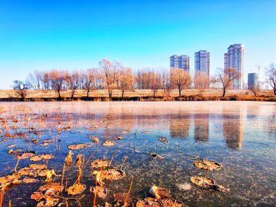 景色