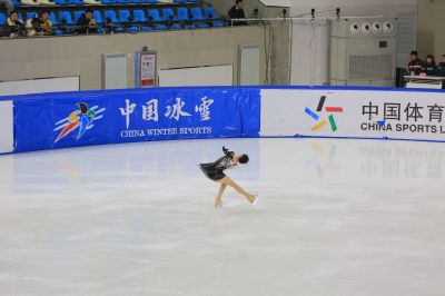 花样滑冰锦标赛