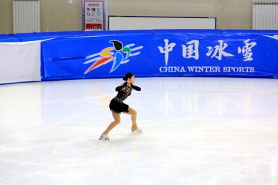 花样滑冰锦标赛