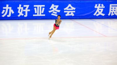 花样滑冰锦标赛