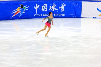 花样滑冰锦标赛